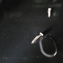 473803304_1045989017293100_6482022744867822047_n